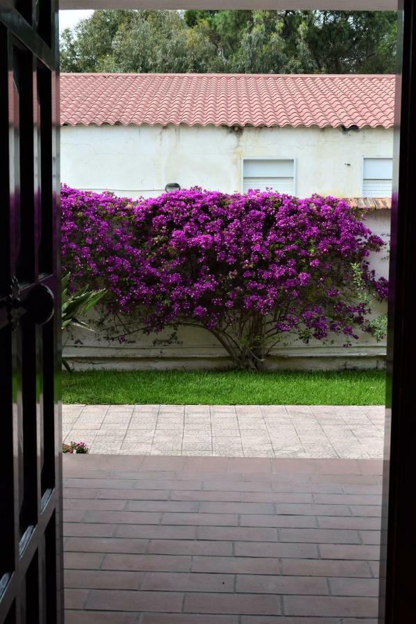 Apartamento Casa Bedda